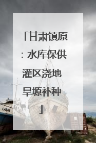 甘肃镇原：水库保供 灌区浇地 旱塬补种